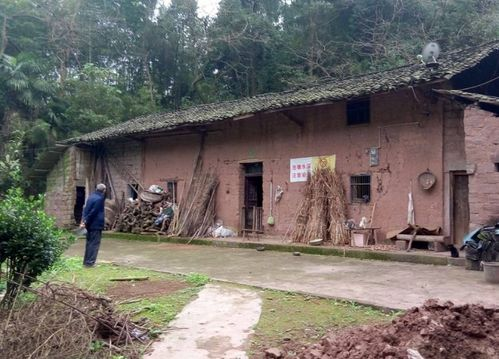 新老组合打破重建质疑