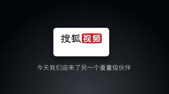 一、搜狐视频下载前的准备工作