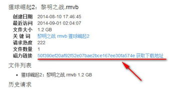 一、理解迅雷bt磁力搜索的基本原理