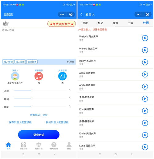一、了解文字转语音软件的基本功能