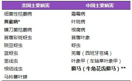一、选择合适的输入法应用