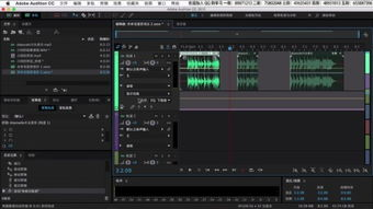 一、Adobe Audition:专业级的音频处理工具