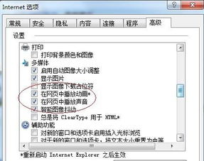 一、Adobe Flash Player插件概述