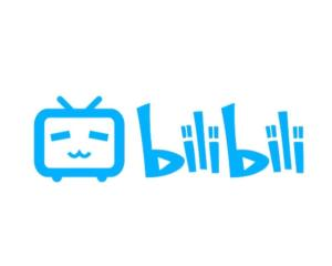 一、bilibili网站入口概述