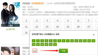 一、爱奇艺电视剧下载的正确流程