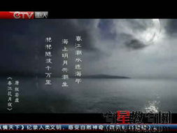 一、月夜影视平台介绍