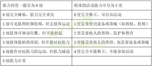 一、准备阶段:收集必要资料