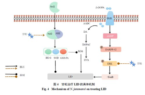 一、蜂窝助手的工作原理与功能特点