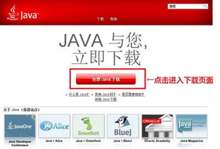 一、为什么选择爱奇艺下载官方版？