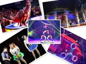一、经典玩法,全新体验