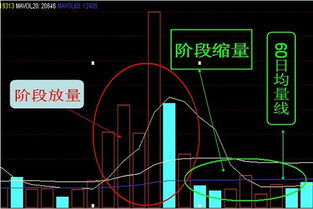 一、了解股市基础知识