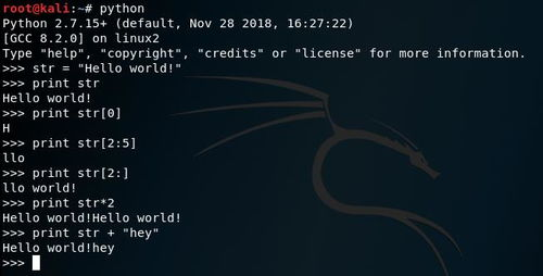 一、Python基础语法入门