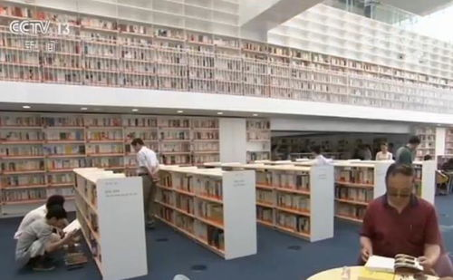 一、公共图书馆数字资源