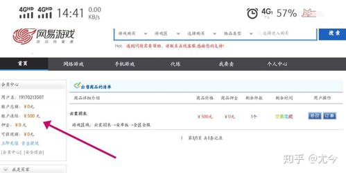 一、网易游戏中心官网概述