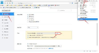 一、为什么选择浏览器正版下载？