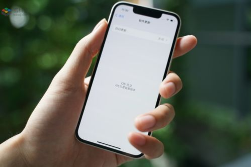 一、哪些iPhone机型不建议升级至iOS 16？