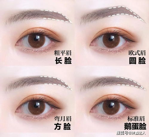 一、了解眉毛的生长规律与眉形选择