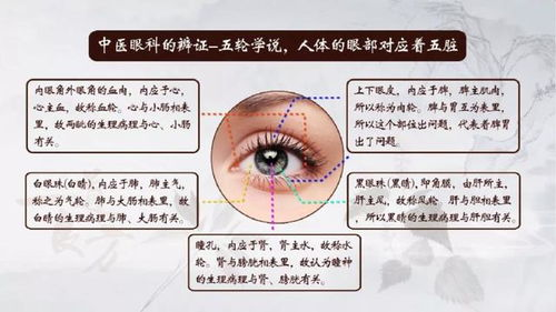 一、了解眼部精华的类型与成分