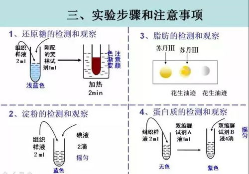 一、冷冻溶脂的原理及作用机制
