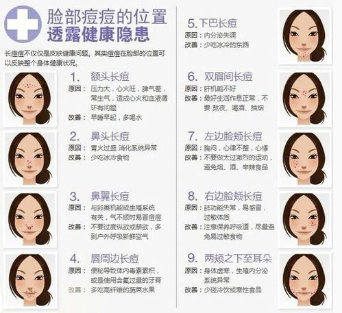 一、了解痘痘成因