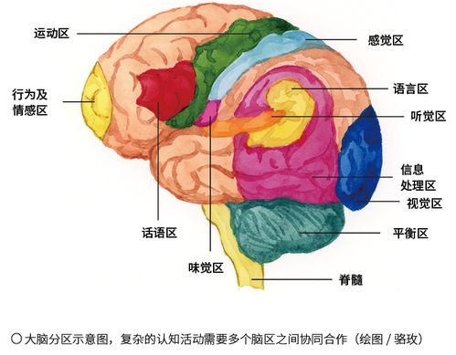 一、认识黑头及其形成原因