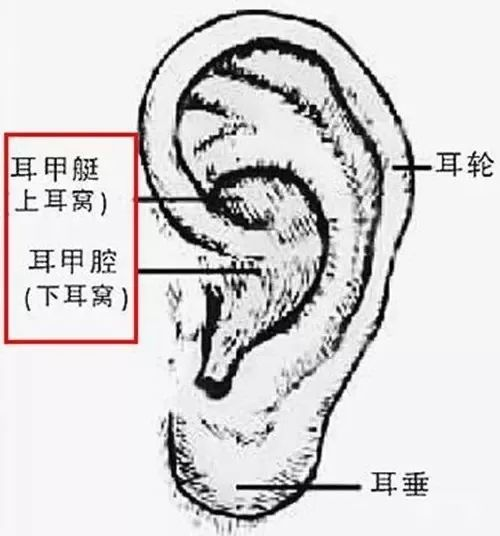 一、耳轮图片拍摄技巧