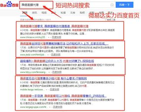 一、全网推广代理服务内容