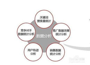 一、淘宝运营基础：了解平台规则与市场趋势