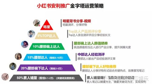 一、了解小红书平台特性与用户需求