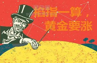一、政治动荡与和平努力
