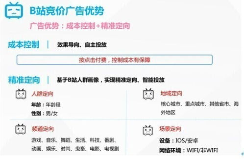 一、B站推广平台的优势分析