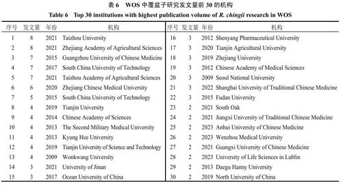 1. 关键词研究和分析