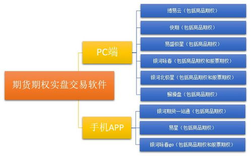 一、软件概述与特点
