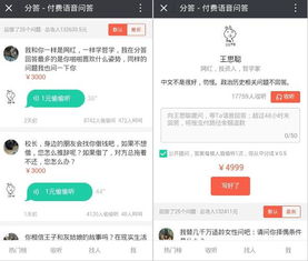 一、百度付费问答平台概述