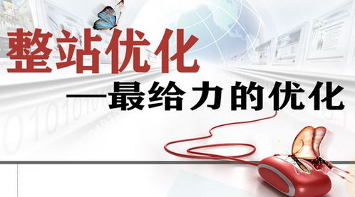 一、整站优化的服务内容