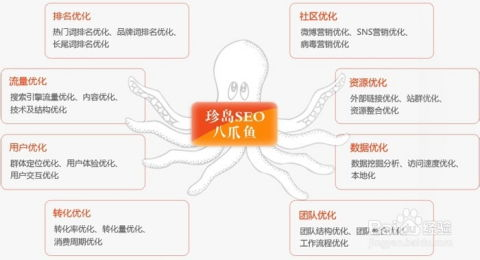 一、搜索引擎优化(SEO)策略