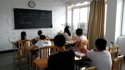 一、培训机构类型介绍