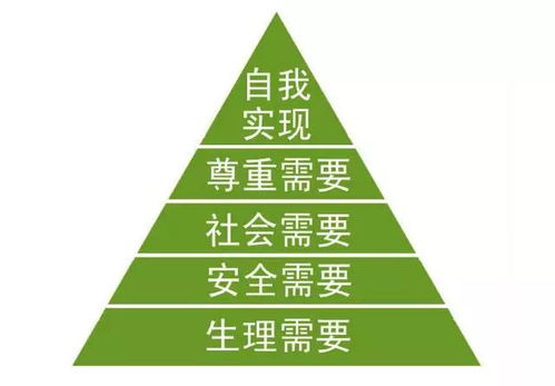 一、了解客户需求，量身定制推销语言