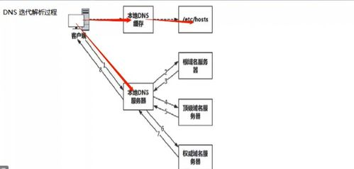 一、域名解析的基本原理