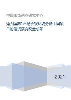 一、市场环境分析