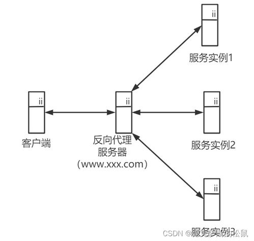 一、代理IP的工作原理及作用