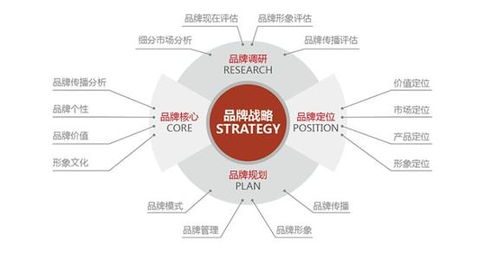 一、上海网络营销有限公司的服务范畴