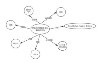 一、了解白豆图片的搜索趋势