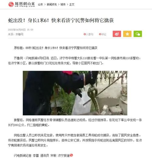 1. 济南新闻媒体报道