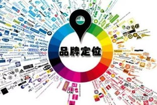 一、明确品牌定位与目标市场