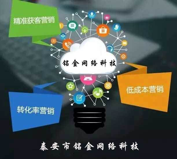 一、泰安网站优化推广的必要性