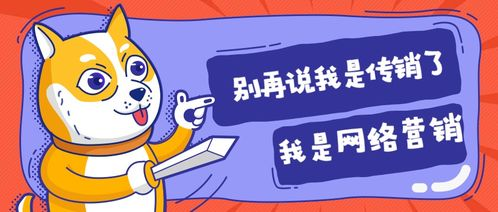 What is SEO?