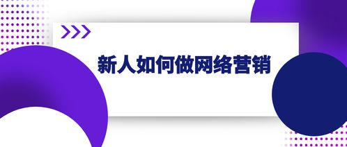 一、明确网络营销目标与定位