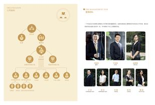 一、百度企业性质解析