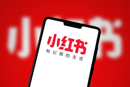 一、小红书平台特点与运营价值